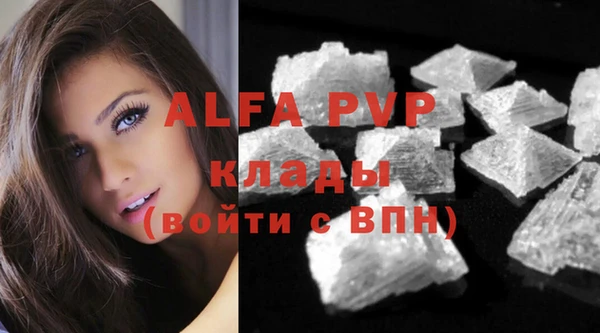 спиды Лиски