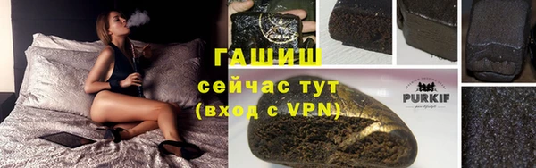 сатива Болохово